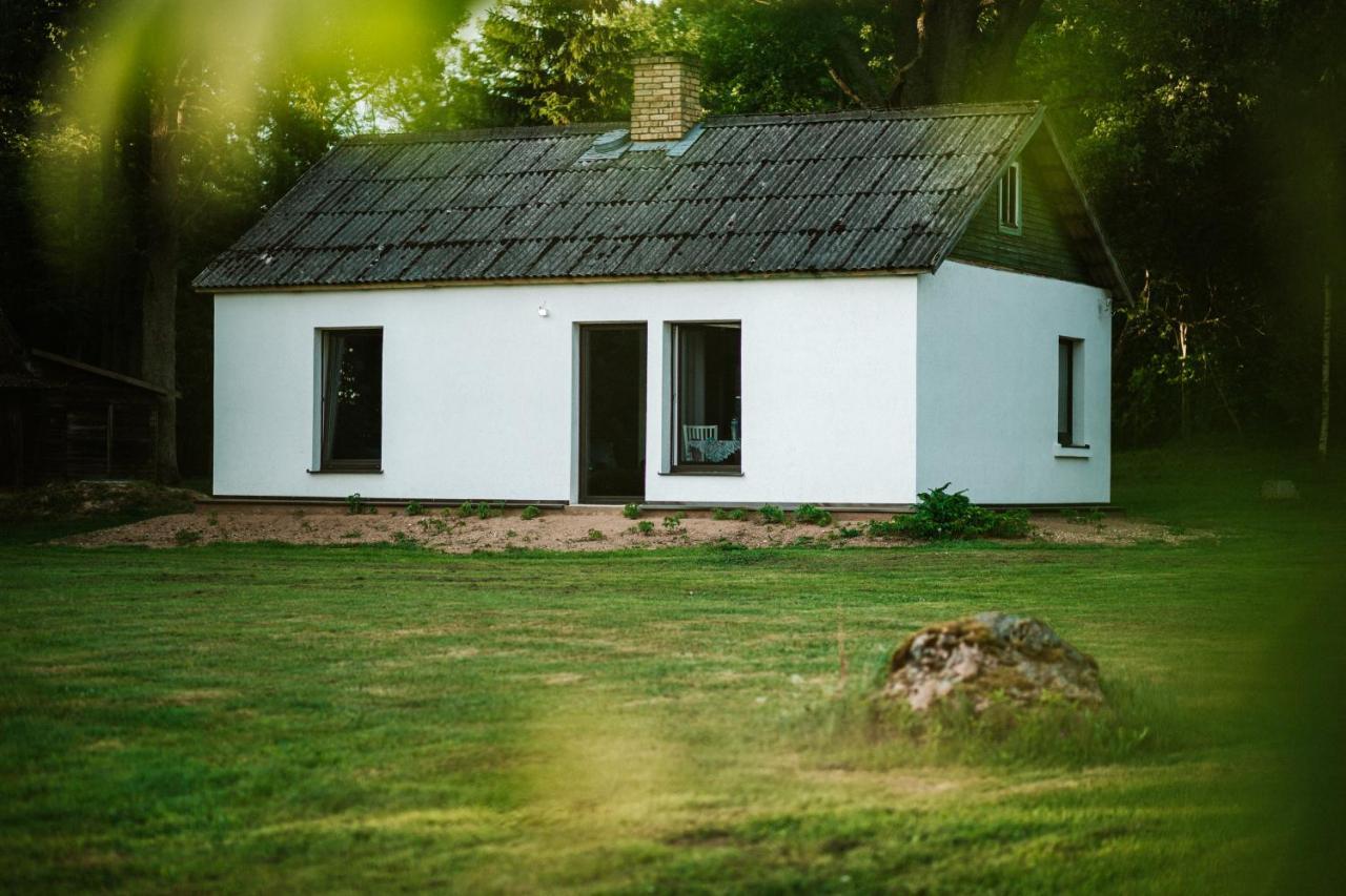 Burtnieka Ezera Maja Villa Valmiera Bagian luar foto